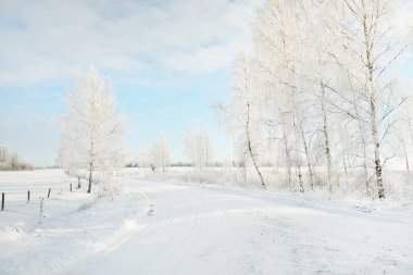 Kırsal alanda, karla kaplı tarlaların içinden geçen köy yolu. Arabadan görüntü. Kar sürükleniyor. Avrupa. Doğa, Noel tatilleri, uzak yerler, kış lastikleri, tehlikeli sürüş konsepti