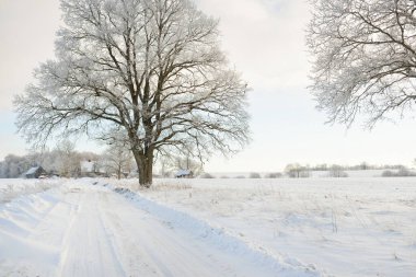 Güneşli bir günde karla kaplı tarlaların ve köyün içinden geçen yol. Arka plandaki kır evleri. Idyllic manzara. Noel tatilleri, eko turizm, yürüyüş, kayak, uzak yerler, off-road teması