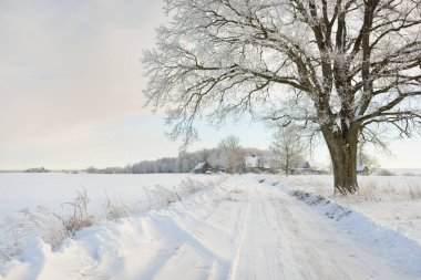 Güneşli bir günde karla kaplı tarlaların ve köyün içinden geçen yol. Arka plandaki kır evleri. Idyllic manzara. Noel tatilleri, eko turizm, yürüyüş, kayak, uzak yerler, off-road teması