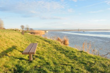 Modern dinlenme alanı, orman parkı, göl. Tahta banklar, masalar. Kamp alanı. Yumuşak güneş ışığı, açık gökyüzü. Baharın başında. Idyllic manzara. Doğa, çevre, ekoloji, eko-turizm, tatiller, hafta sonu