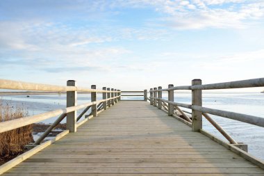 Modern ahşap yürüyüş yolu (bisiklet yolu, tahta yol). Eğlence alanı, orman parkı. Yumuşak güneş ışığı, açık gökyüzü. Baharın başında. Idyllic manzara. Doğa, çevre, ekoloji, eko-turizm, tatiller, hafta sonu