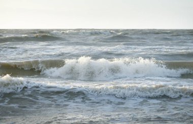 Gün batımında Baltık Denizi. Dramatik gökyüzü, mavi ve pembe parlayan bulutlar, altın güneş ışığı. Dalgalar, su sıçratma. Resimli manzara, deniz manzarası, doğa. Panoramik görünüm,