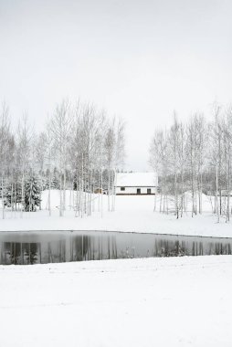 Orman nehri ve bulutlu bir kış gününde geleneksel yalnız ev. Kar fırtınası, kar tepeleri. Genç ladin ve huş ağaçları. Idyllic kırsal kesim. Noel tatilleri, ekolojik tatil beldeleri, uzak yerler