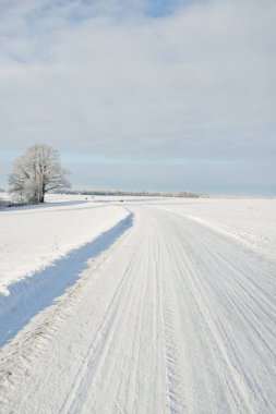 Kırsal alanda, karla kaplı tarlaların içinden geçen köy yolu. Arabadan görüntü. Kar sürükleniyor. Avrupa. Doğa, Noel tatilleri, uzak yerler, kış lastikleri, tehlikeli sürüş konsepti