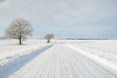 Kırsal alanda, karla kaplı tarlaların içinden geçen köy yolu. Arabadan görüntü. Kar sürükleniyor. Avrupa. Doğa, Noel tatilleri, uzak yerler, kış lastikleri, tehlikeli sürüş konsepti