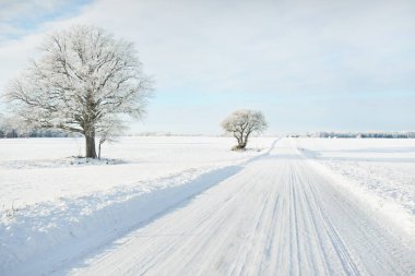 Kırsal alanda, karla kaplı tarlaların içinden geçen köy yolu. Arabadan görüntü. Kar sürükleniyor. Avrupa. Doğa, Noel tatilleri, uzak yerler, kış lastikleri, tehlikeli sürüş konsepti