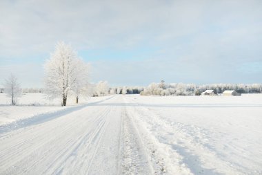 Güneşli bir günde karla kaplı tarlaların ve köyün içinden geçen yol. Arka plandaki kır evleri. Idyllic manzara. Noel tatilleri, eko turizm, yürüyüş, kayak, uzak yerler, off-road teması