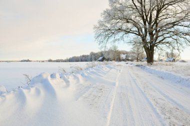 Güneşli bir günde karla kaplı tarlaların ve köyün içinden geçen yol. Arka plandaki kır evleri. Idyllic manzara. Noel tatilleri, eko turizm, yürüyüş, kayak, uzak yerler, off-road teması