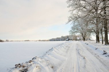 Güneşli bir günde karla kaplı tarlaların ve köyün içinden geçen yol. Arka plandaki kır evleri. Idyllic manzara. Noel tatilleri, eko turizm, yürüyüş, kayak, uzak yerler, off-road teması