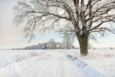 Güneşli bir günde karla kaplı tarlaların ve köyün içinden geçen yol. Arka plandaki kır evleri. Idyllic manzara. Noel tatilleri, eko turizm, yürüyüş, kayak, uzak yerler, off-road teması