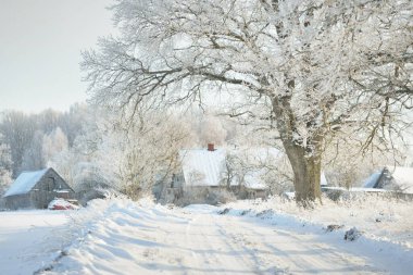 Güneşli bir günde karla kaplı tarlaların ve köyün içinden geçen yol. Arka plandaki kır evleri. Idyllic manzara. Noel tatilleri, eko turizm, yürüyüş, kayak, uzak yerler, off-road teması