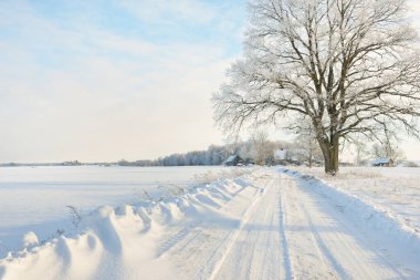 Güneşli bir günde karla kaplı tarlaların ve köyün içinden geçen yol. Arka plandaki kır evleri. Idyllic manzara. Noel tatilleri, eko turizm, yürüyüş, kayak, uzak yerler, off-road teması