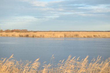 Gün batımında mavi orman gölü (nehir) panoramik hava manzarası. Yumuşak güneş ışığı, berrak gökyüzü, suya yansıyan yansımalar. Baharın başında. İdealist pastoral manzara. Doğa, çevre, ekoloji, eko-turizm