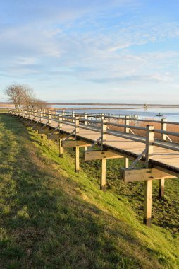 Modern ahşap yürüyüş yolu (bisiklet yolu, tahta yol). Eğlence alanı, orman parkı. Yumuşak güneş ışığı, açık gökyüzü. Baharın başında. Idyllic manzara. Doğa, çevre, ekoloji, eko-turizm, tatiller, hafta sonu