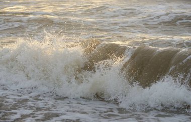 Fırtınadan sonra Baltık kıyıları. Gün batımı, yumuşak güneş ışığı. Su yüzeyi dokusu, çarpan dalgalar, sıçramalar, köpük. Resimli panoramik manzara. Idyllic deniz manzarası. Doğa, çevre, ekoloji temaları