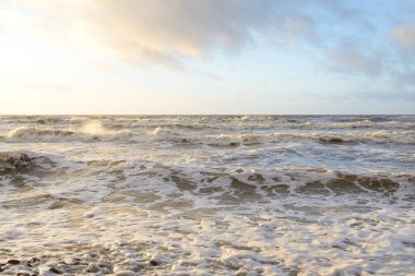 Gün batımında Baltık Denizi. Dramatik gökyüzü, mavi ve pembe parlayan bulutlar, altın güneş ışığı. Dalgalar, su sıçratma. Resimli manzara, deniz manzarası, doğa. Panoramik görünüm,