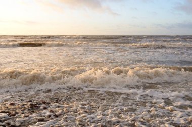 Gün batımında Baltık Denizi. Dramatik gökyüzü, mavi ve pembe parlayan bulutlar, altın güneş ışığı. Dalgalar, su sıçratma. Resimli manzara, deniz manzarası, doğa. Panoramik görünüm,