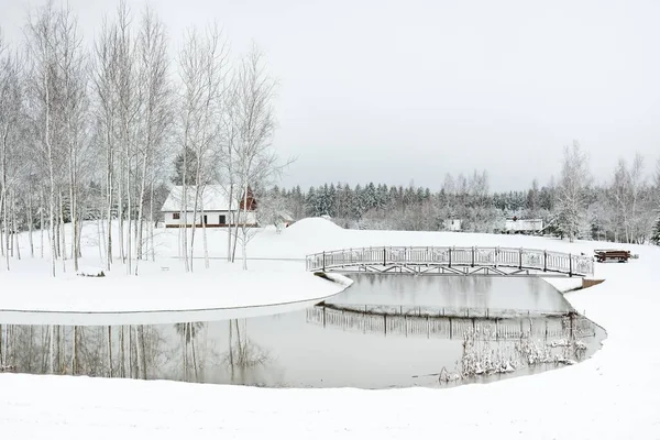 Forest River Lonely Modern Traditional House Cloudy Winter Day Blizzard —  Fotos de Stock