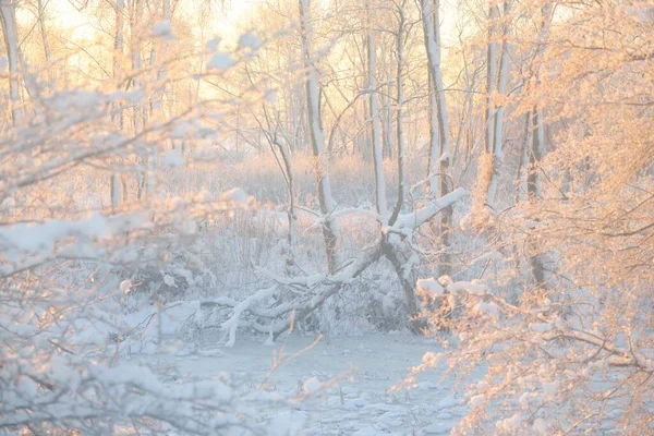 Gün Doğumunda Karla Kaplı Orman Aşırı Gelişmiş Tepeler Donmuş Nehir — Stok fotoğraf
