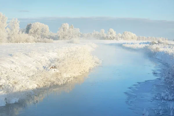 Prato Boschivo Fiume Ghiacciato Pura Luce Del Sole Nebbia Cielo — Foto Stock