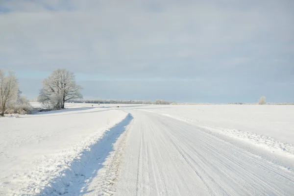 Country Road Snow Covered Fields Rural Area View Car Snow — Stock Photo, Image