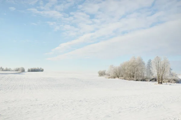 Skogsmark Och Åkermark Rent Solljus Klarblå Himmel Vinterunderlandet Idyllisk Landsbygd — Stockfoto