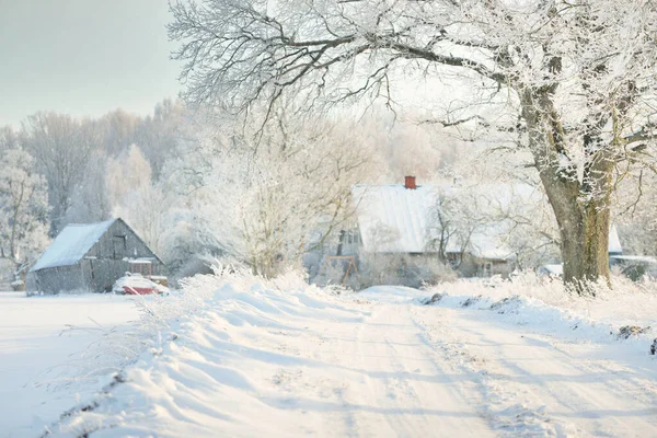 Vägen Genom Snötäckta Fälten Och Byn Solig Dag Hus Landet — Stockfoto