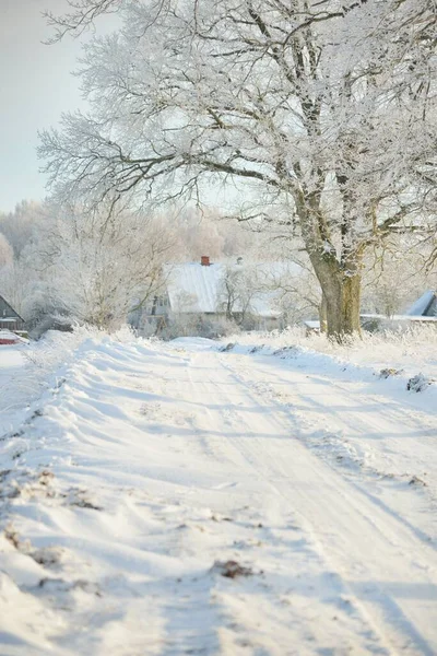 Pathway Snow Covered Fields Village Sunny Day Country Houses Background — Stock fotografie