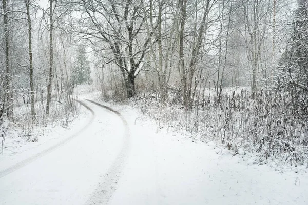 Bulutlu bir kış gününde görkemli karla kaplı ormanda (kırsal yol) yol. Kar fırtınası sonrası kar tepeleri. Doğa, Noel tatilleri, eko-turizm, eğlence, yürüyüş, kayak, kuzey yürüyüşü.