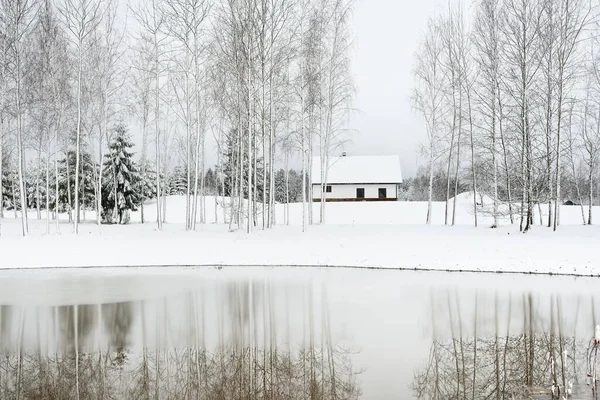 Forest River Solitario Casa Tradizionale Moderna Una Giornata Invernale Nuvoloso — Foto Stock