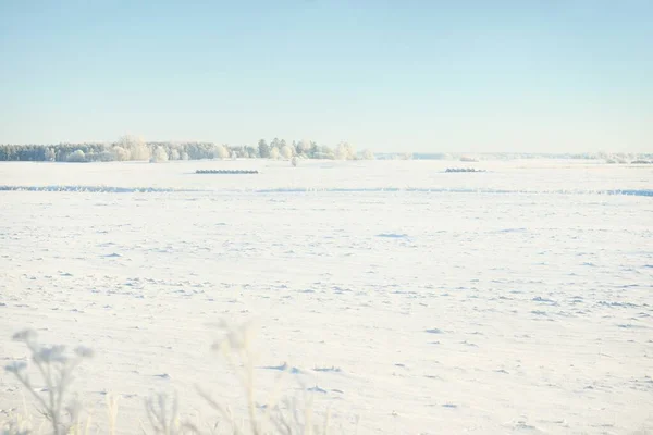Waldwiese Und Acker Sonnenlicht Pur Strahlend Blauer Himmel Winterwunderland Idyllische — Stockfoto