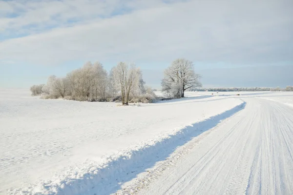 Estrada Rural Através Dos Campos Cobertos Neve Área Rural Vista — Fotografia de Stock