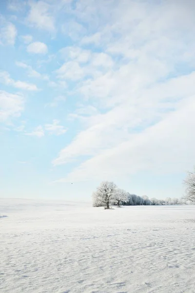 Bos Weide Land Veld Puur Zonlicht Heldere Blauwe Lucht Winter — Stockfoto
