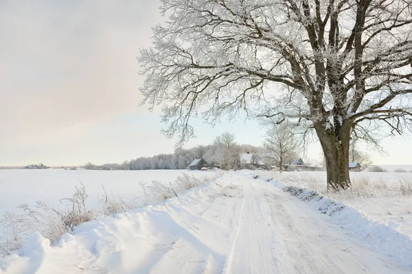 Pathway Snow Covered Fields Village Sunny Day Country Houses Background — Foto Stock