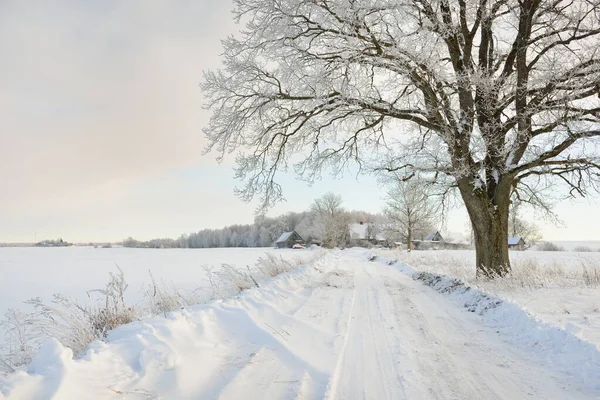 Pathway Snow Covered Fields Village Sunny Day Country Houses Background — ストック写真