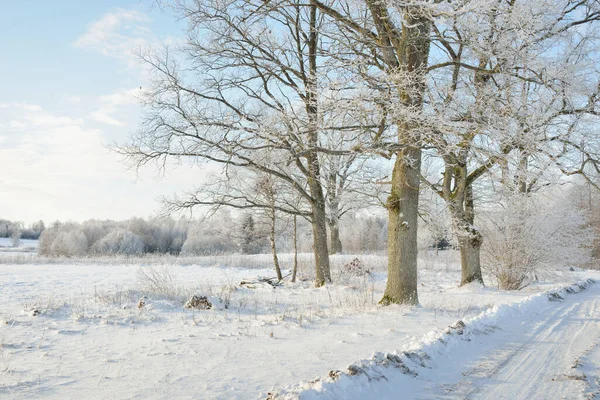 Kırsal Alanda Karla Kaplı Tarlaların Içinden Geçen Köy Yolu Arabadan — Stok fotoğraf