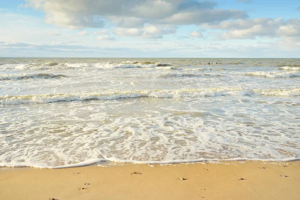 Panoramic View Baltic Sea Sandy Shore Sand Dunes Clear Sky — Fotografia de Stock