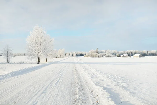 Weg Durch Die Schneebedeckten Felder Und Dörfer Einem Sonnigen Tag — Stockfoto