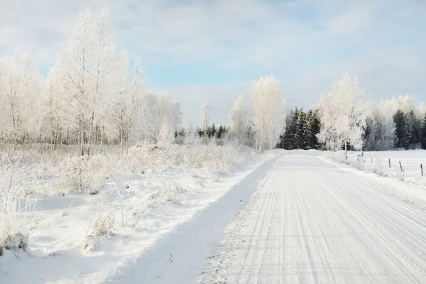 Country Road Snow Covered Fields Rural Area View Car Snow — Stock Photo, Image