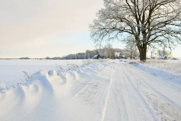 Pathway Snow Covered Fields Village Sunny Day Country Houses Background — Stock fotografie