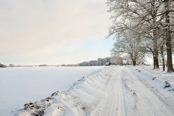 Pathway Snow Covered Fields Village Sunny Day Country Houses Background — Photo