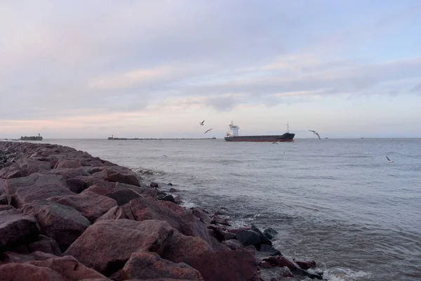 Cargo Ship Arriving Port Sunset Baltic Sea Freight Transportation Global — Fotografia de Stock