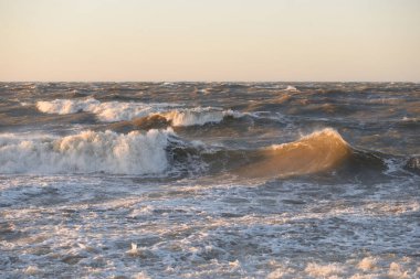 Gün batımında Baltık kıyısı. Yumuşak altın güneş ışığı, parlayan gökyüzü, dalgalar. Idyllic deniz manzarası. Seyahat yerleri, eko turizm, doğa, hava durumu, iklim değişikliği. Resimli panoramik manzara