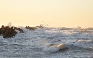 Gün batımında Baltık kıyısı. Yumuşak altın güneş ışığı, parlayan gökyüzü, dalgalar. Idyllic deniz manzarası. Seyahat yerleri, eko turizm, doğa, hava durumu, iklim değişikliği. Resimli panoramik manzara