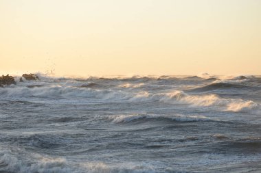 Gün batımında Baltık kıyısı. Yumuşak altın güneş ışığı, parlayan gökyüzü, dalgalar. Idyllic deniz manzarası. Seyahat yerleri, eko turizm, doğa, hava durumu, iklim değişikliği. Resimli panoramik manzara