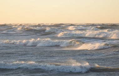 Gün batımında Baltık kıyısı. Yumuşak altın güneş ışığı, parlayan gökyüzü, dalgalar. Idyllic deniz manzarası. Seyahat yerleri, eko turizm, doğa, hava durumu, iklim değişikliği. Resimli panoramik manzara