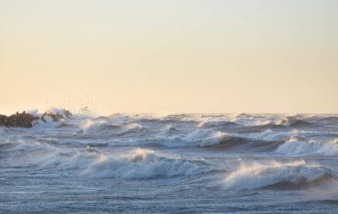 Gün batımında Baltık kıyısı. Yumuşak altın güneş ışığı, parlayan gökyüzü, dalgalar. Idyllic deniz manzarası. Seyahat yerleri, eko turizm, doğa, hava durumu, iklim değişikliği. Resimli panoramik manzara