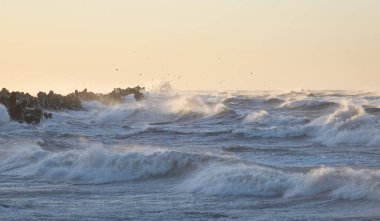 Gün batımında Baltık kıyısı. Yumuşak altın güneş ışığı, parlayan gökyüzü, dalgalar. Idyllic deniz manzarası. Seyahat yerleri, eko turizm, doğa, hava durumu, iklim değişikliği. Resimli panoramik manzara