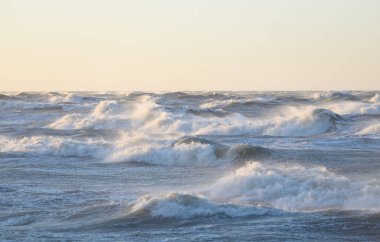 Gün batımında Baltık kıyısı. Yumuşak altın güneş ışığı, parlayan gökyüzü, dalgalar. Idyllic deniz manzarası. Seyahat yerleri, eko turizm, doğa, hava durumu, iklim değişikliği. Resimli panoramik manzara