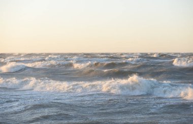 Gün batımında Baltık kıyısı. Yumuşak altın güneş ışığı, parlayan gökyüzü, dalgalar. Idyllic deniz manzarası. Seyahat yerleri, eko turizm, doğa, hava durumu, iklim değişikliği. Resimli panoramik manzara